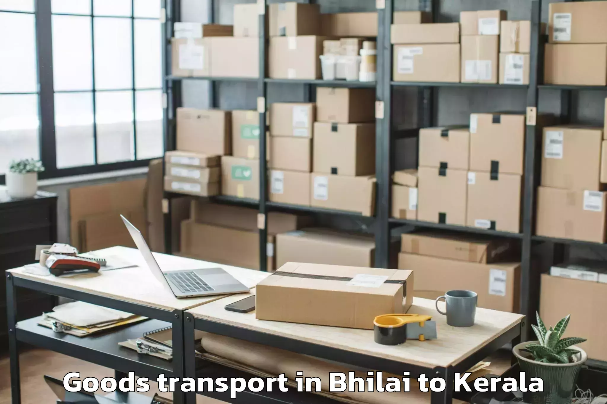 Trusted Bhilai to Punalur Goods Transport